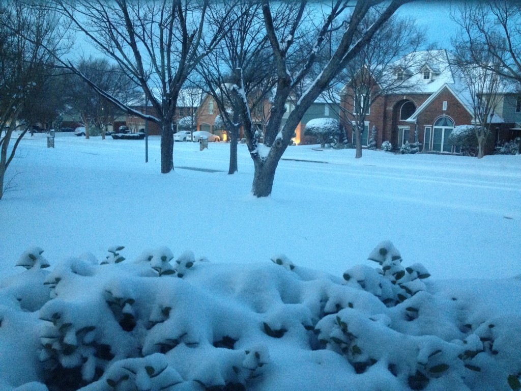 front yard at dawn